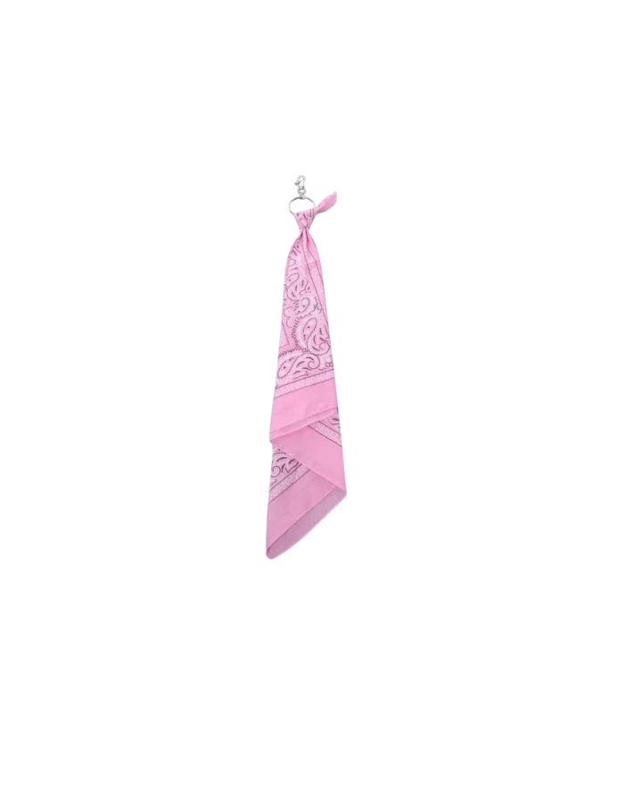 Multi-Color Paisley Bandana Layered Streetwear and Hip-Hop