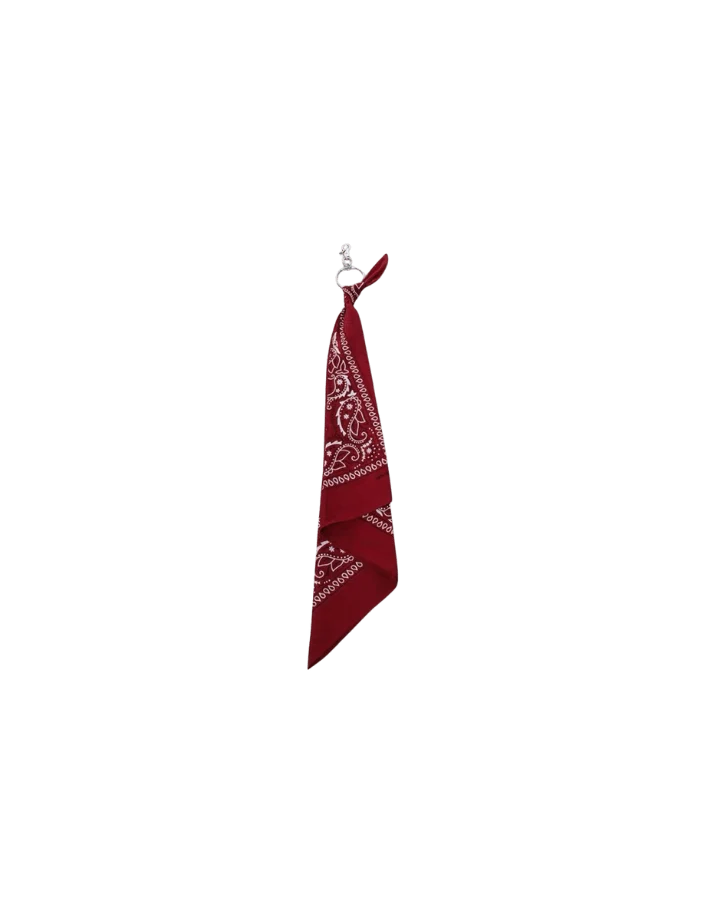 Multi-Color Paisley Bandana Layered Streetwear and Hip-Hop
