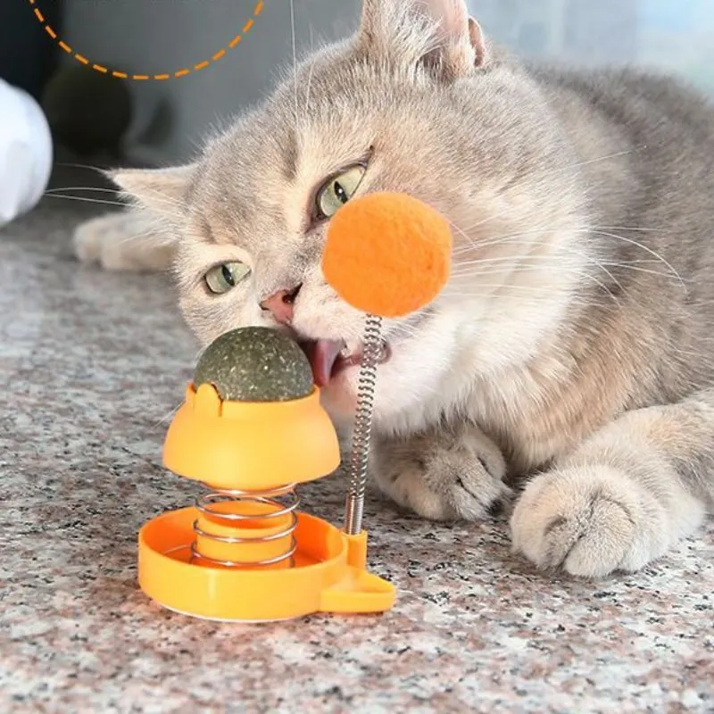 Katzen Spielzeug, Springspielzeug mit Katzenminze für Katzen, Bunte Auswahl in Rosa und Orange