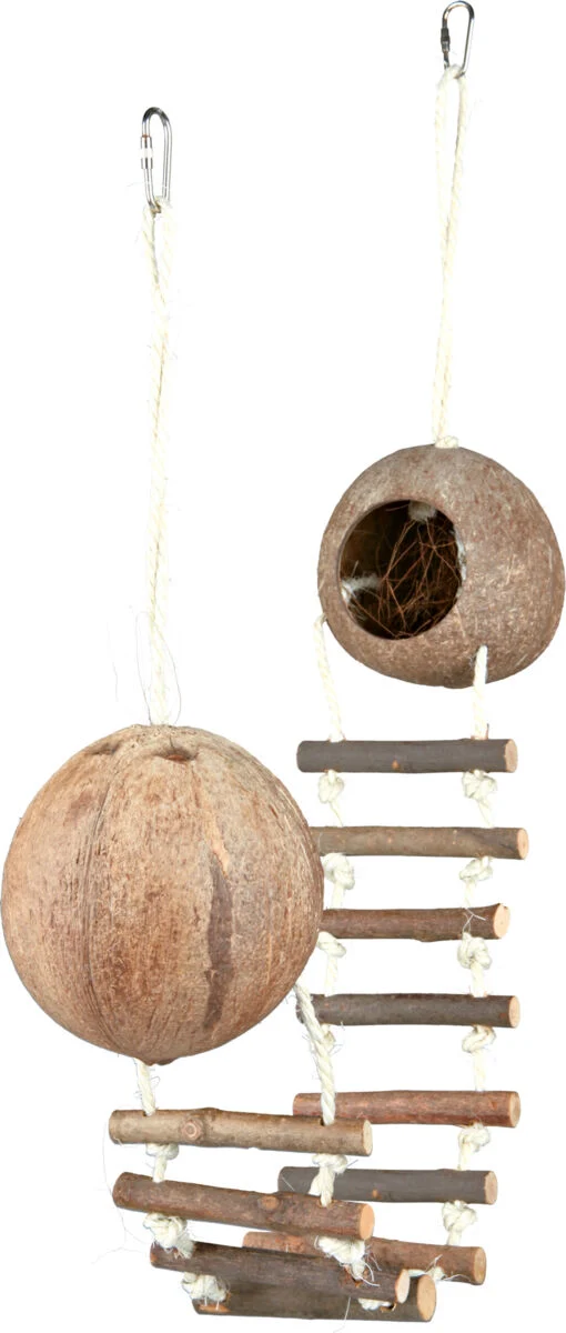 Kokosnusshaus