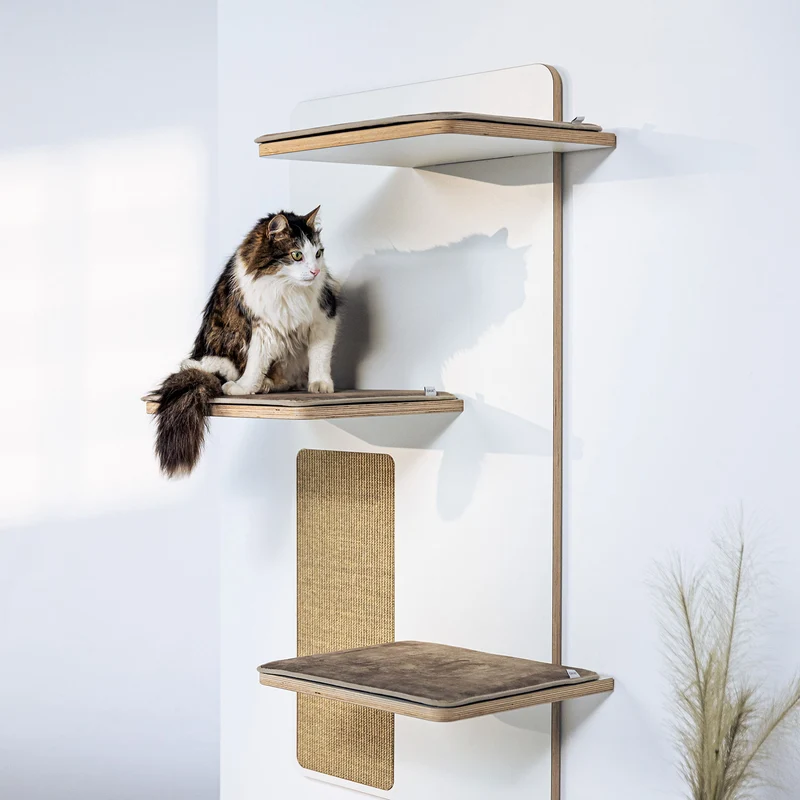 Kratzwand Relex 3 Liegeflächen