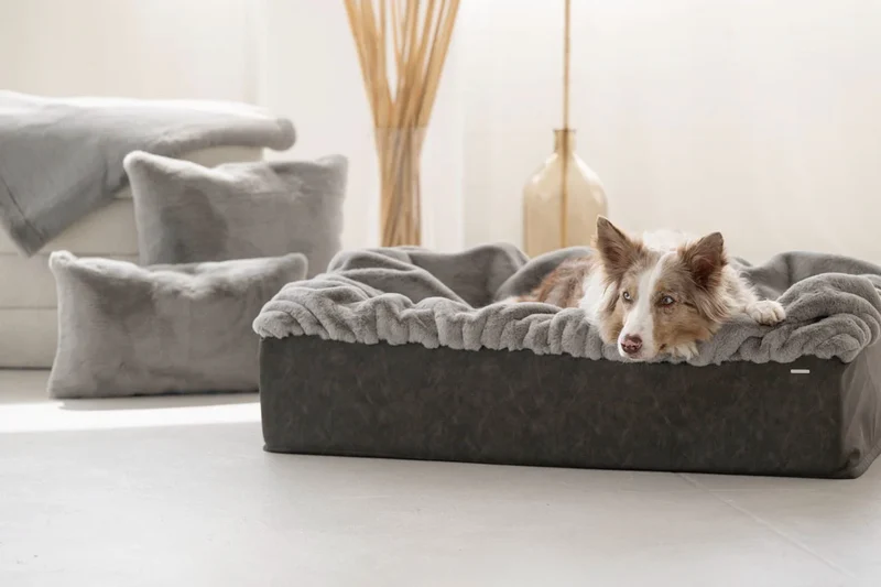 Hundebett Buddelbox - Grau