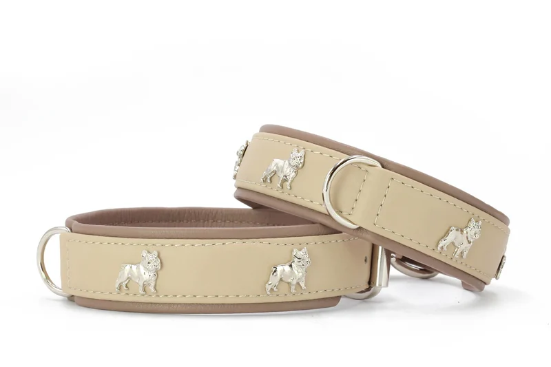 Halsband Französische Bulldogge - Elfenbein