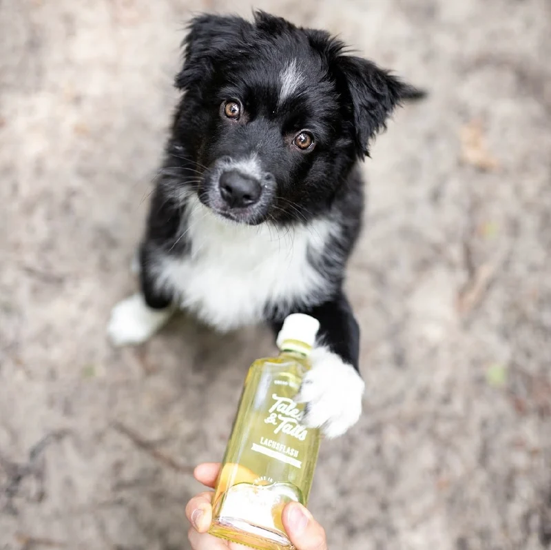 Tales & Tails Lachsöl 240ml