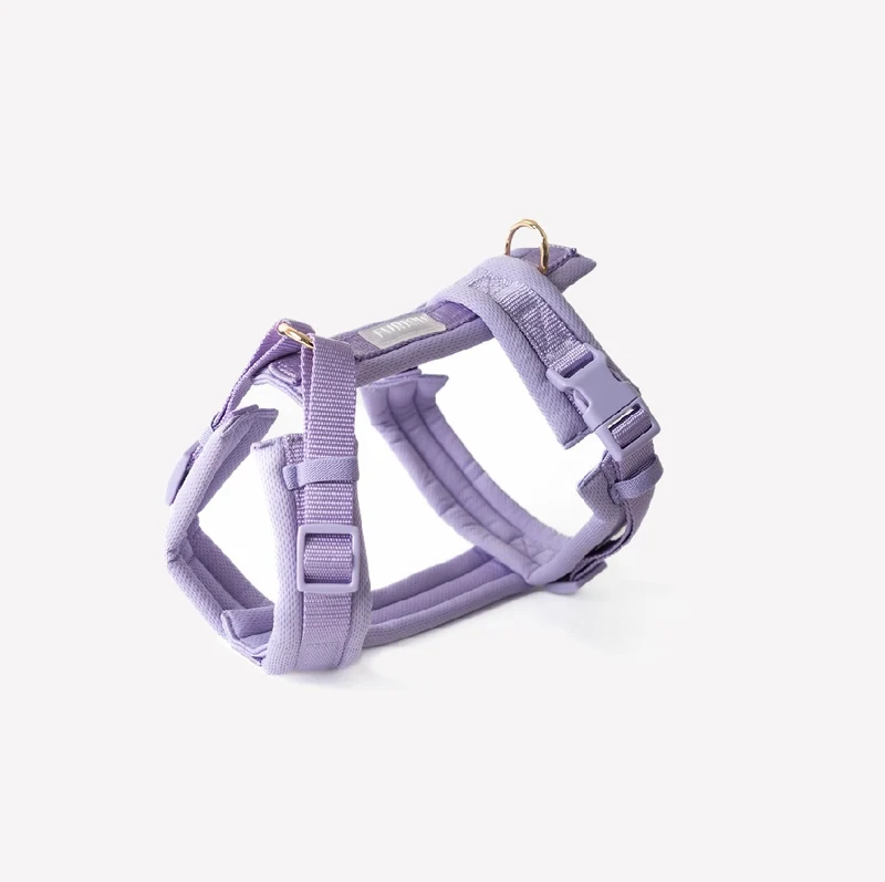 Lavender - Comfort Hundegeschirr