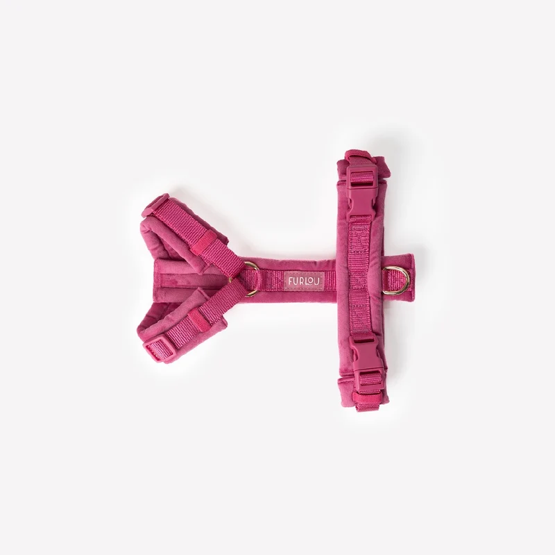 Magenta - Samt Hundegeschirr