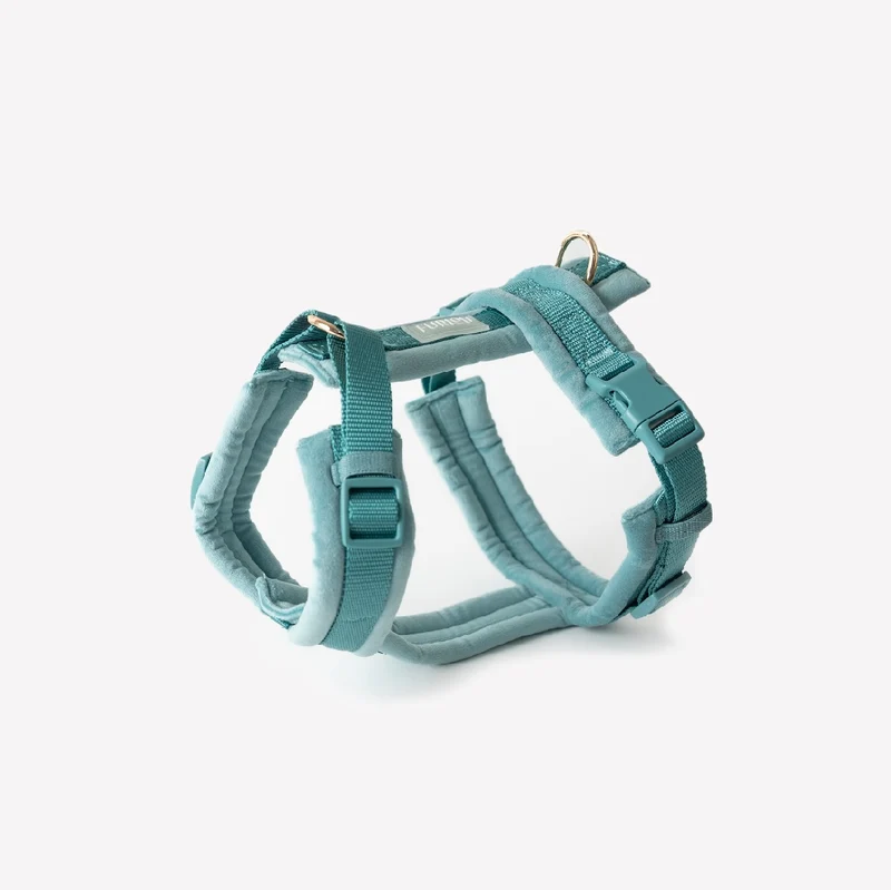 Blau - Samt Hundegeschirr