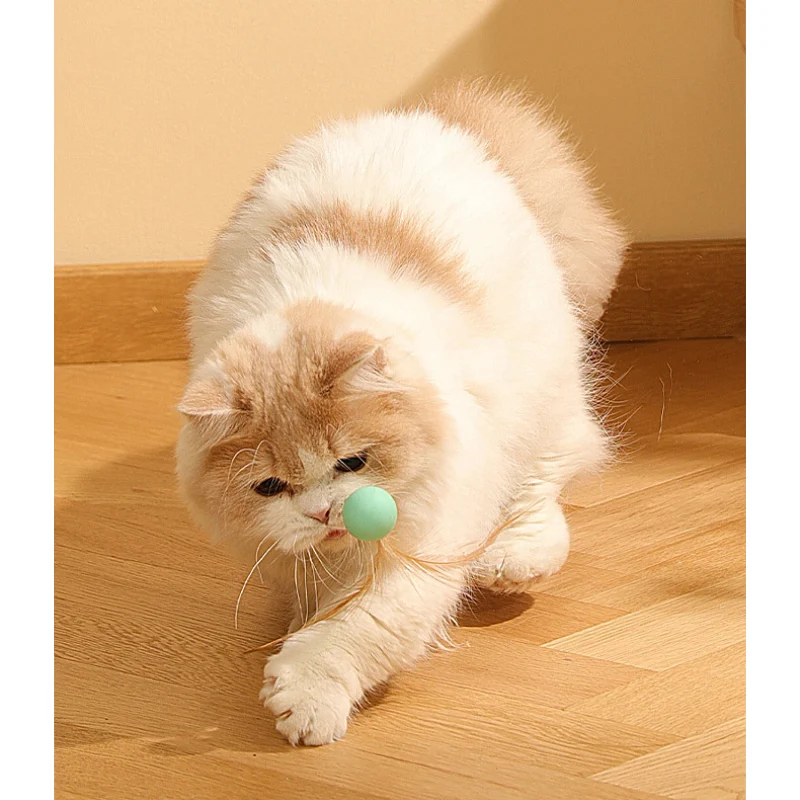Katzen Spielzeug, Elastischen Katzenball aus Silikon mit Federn, Drei Farben eingestellt, für Spaß und Unterhaltung Ihrer Katze