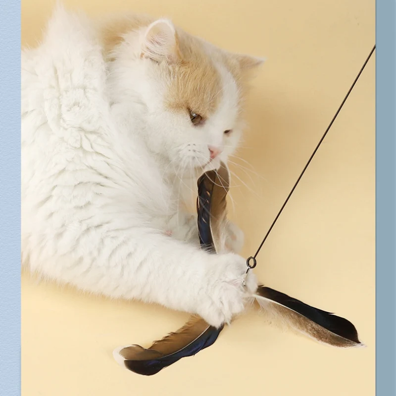 Katze Spielzeug, katzenangel, Interaktiver Feder Windmühlenform Spielzeug mit Langen Griff für Katze Endlose Unterhaltung