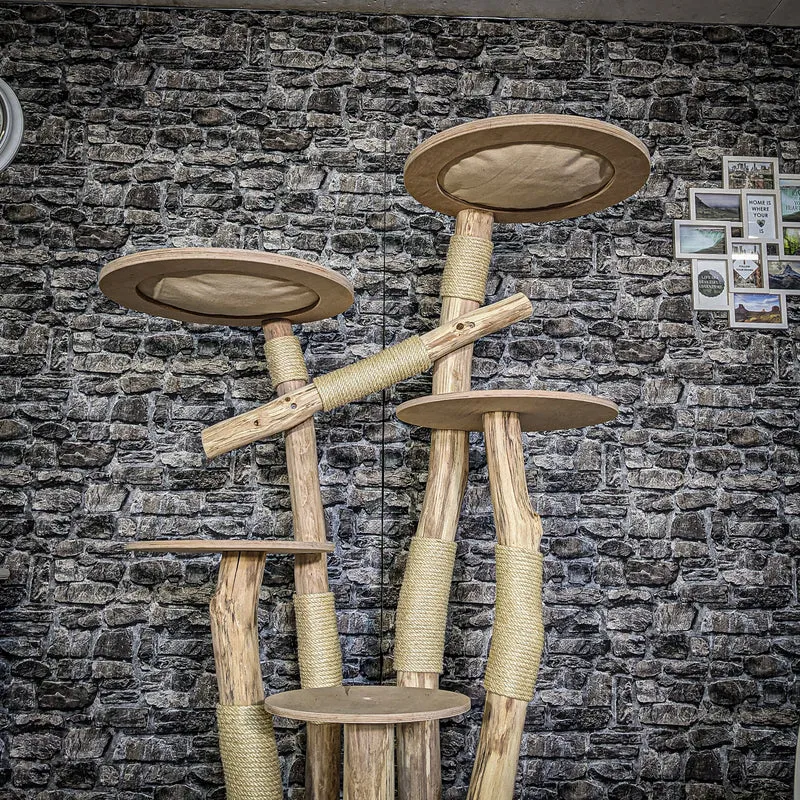 Naturkratzbaum 3866 Kratzbaum Natur Holz Design 170 cm hoch Katzenbaum