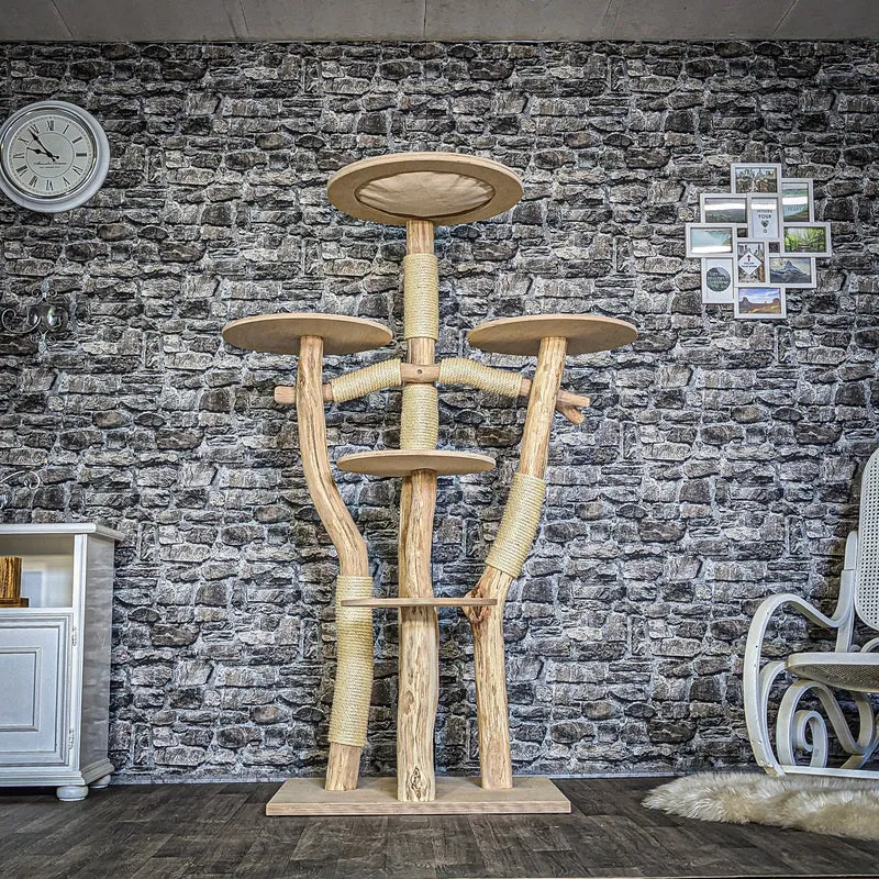 Naturkratzbaum 3848 Kratzbaum Natur Holz Design 175 cm hoch Katzenbaum