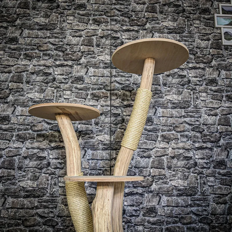 Naturkratzbaum 3846 Kratzbaum Natur Holz Design 120 cm hoch Katzenbaum