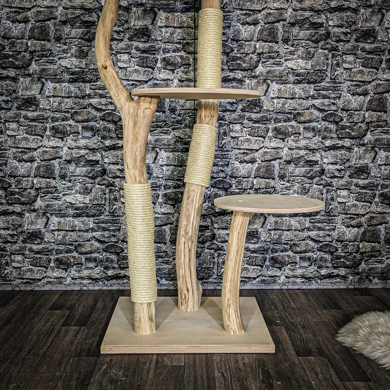 Naturkratzbaum 3840 Kratzbaum Natur Holz Design 170 cm hoch Katzenbaum