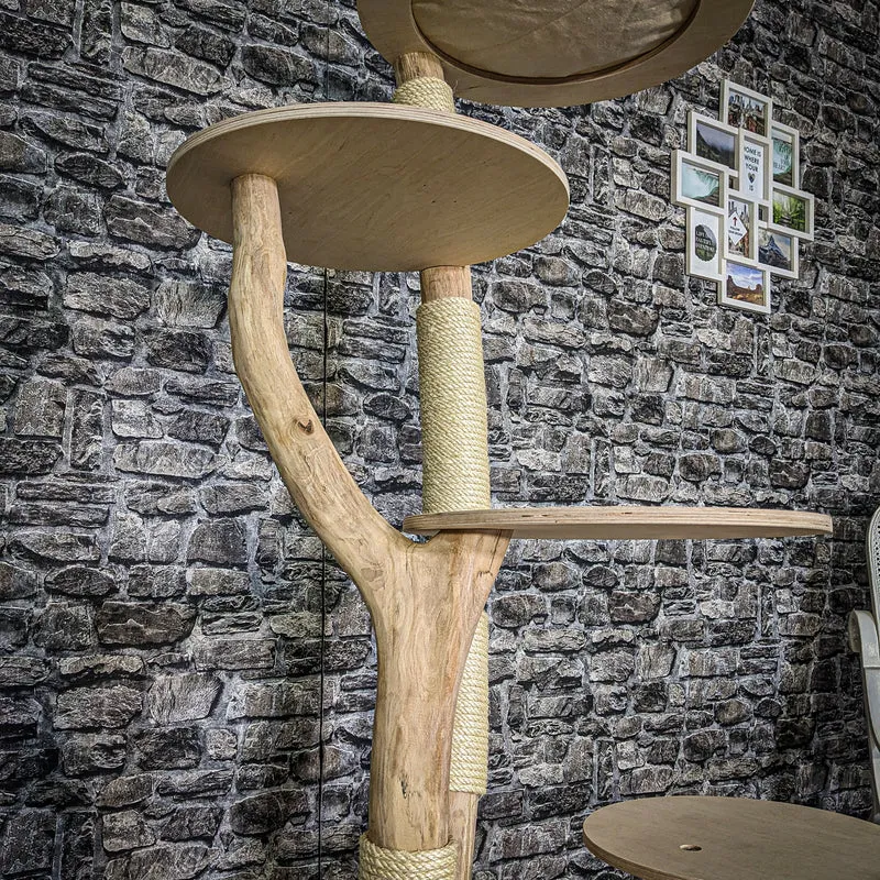 Naturkratzbaum 3840 Kratzbaum Natur Holz Design 170 cm hoch Katzenbaum