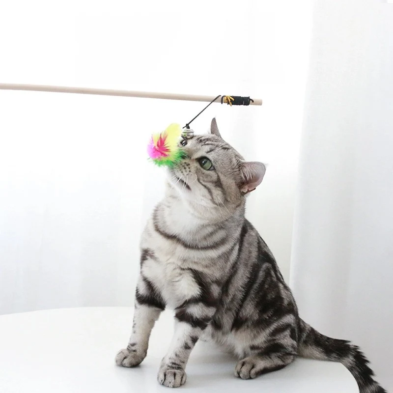 Katzen Spielzeug, Interaktive Katzenangel mit buntem Mausspielzeug und Federdekoration, stabilen Holzstab, Farbe zufällig, circa 40 cm Länge