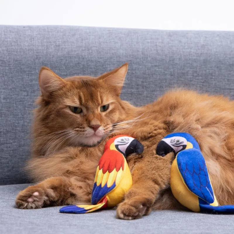 Kuscheltier Katze, Realistisches Papageien Design, 16cm, mit Knisterpapier für spannende Geräusche, in Blau oder Rot