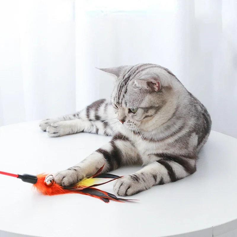 Katzenspielzeug, Katzenangeln mit Federn & Glöckchen, 50cm Lange Stange, Zufällige Farbe für endlosen Spaß