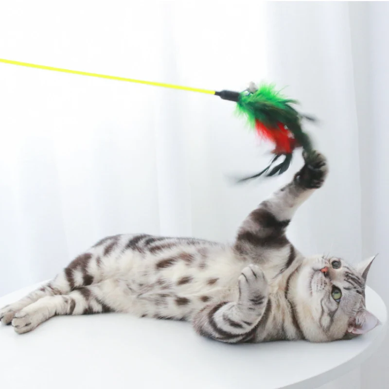 Katzenspielzeug, Katzenangeln mit Federn & Glöckchen, 50cm Lange Stange, Zufällige Farbe für endlosen Spaß