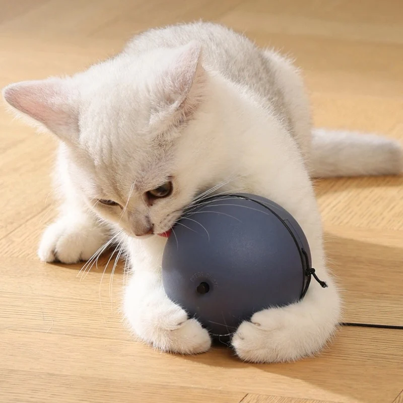 Katzenspielzeug elektrisch, Interaktives Katzenball mit Mause-Spielzeug, 8,1 cm Durchmesser, Grau, für aktive Katzen