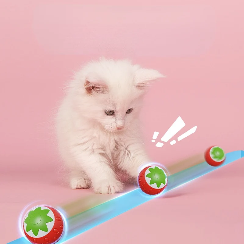 Katzenspielzeug elektrisch, lustigen Erdbeerdesign, aufladbares, Rot und Grün, Leise und langlebig für endlosen Spielspaß