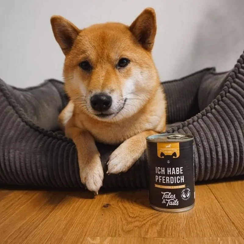 Tales & Tails Nassfutter Pferd