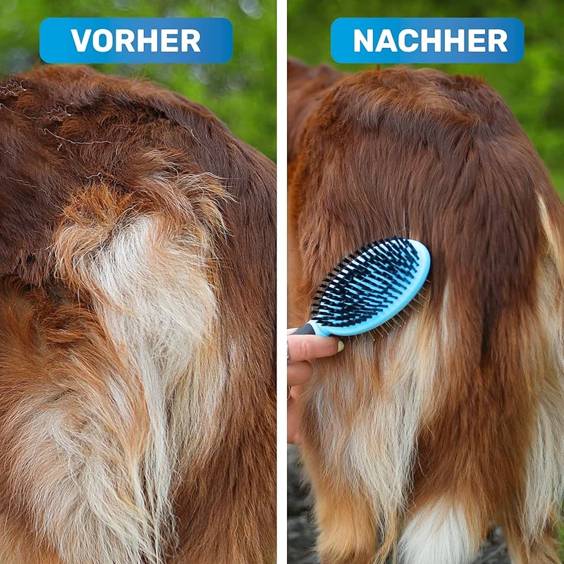 Doppelbürste blau