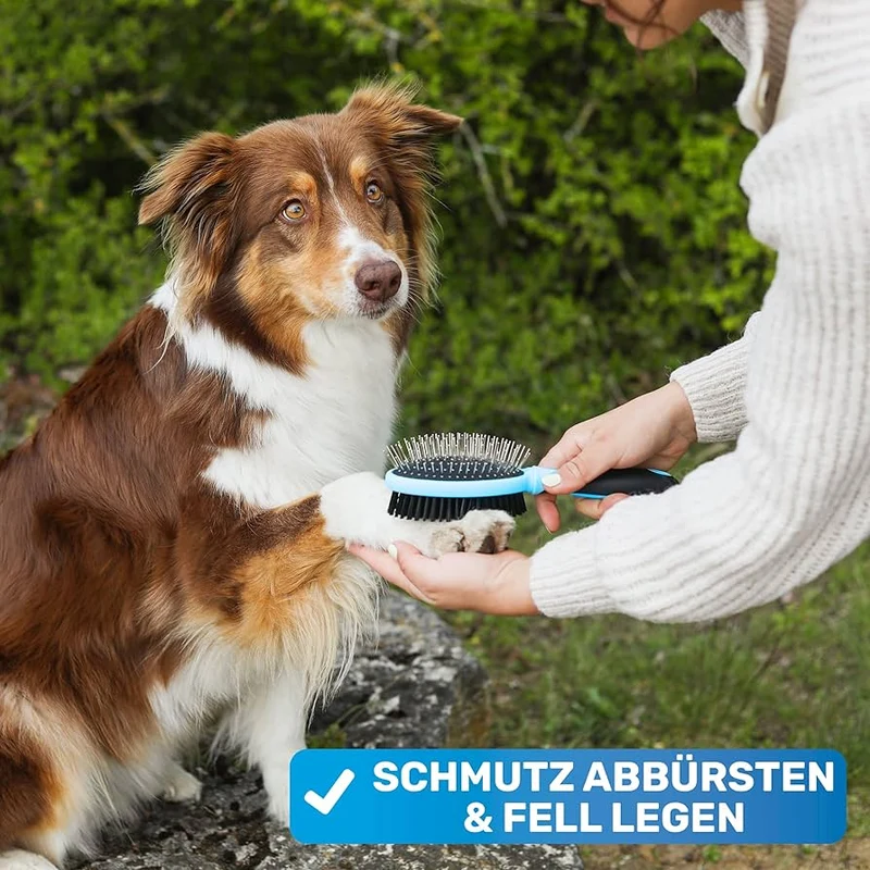 Doppelbürste blau