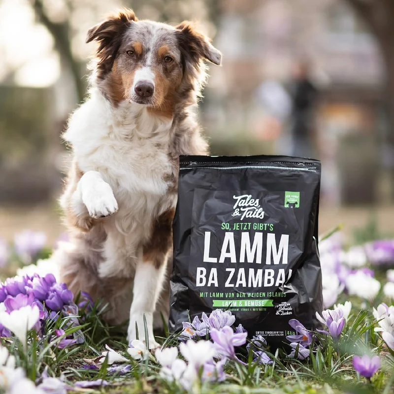 Tales & Tails Adult Soft Lamm