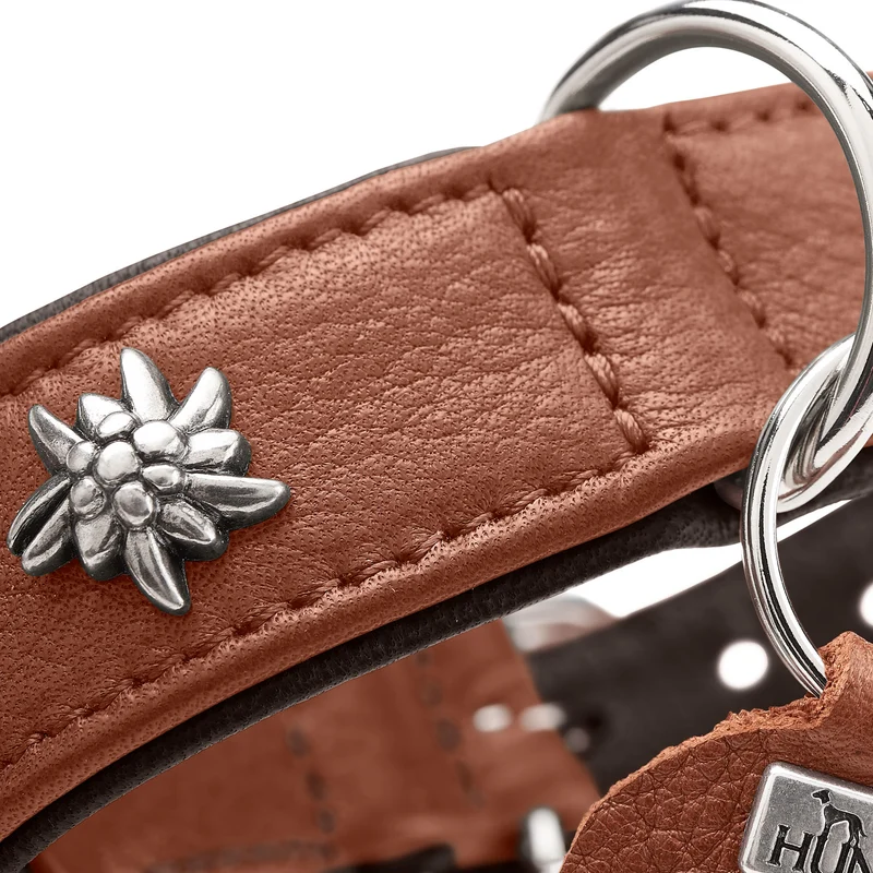 Halsband München