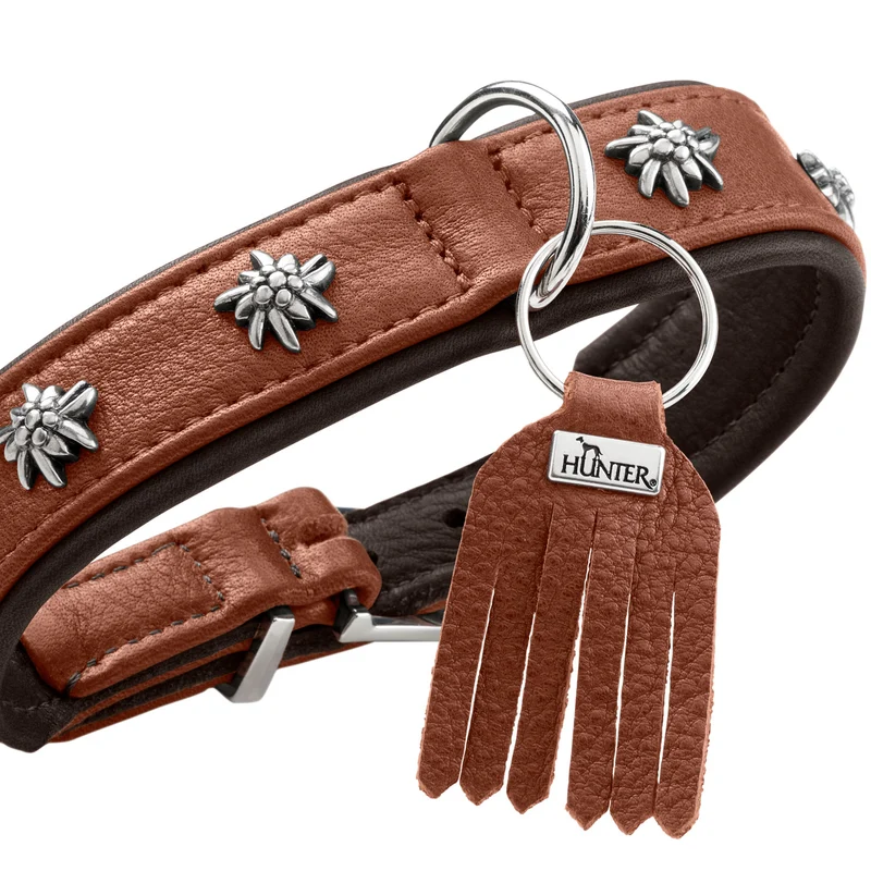 Halsband München