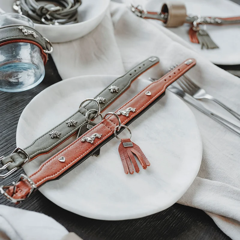 Teckel-Halsband München