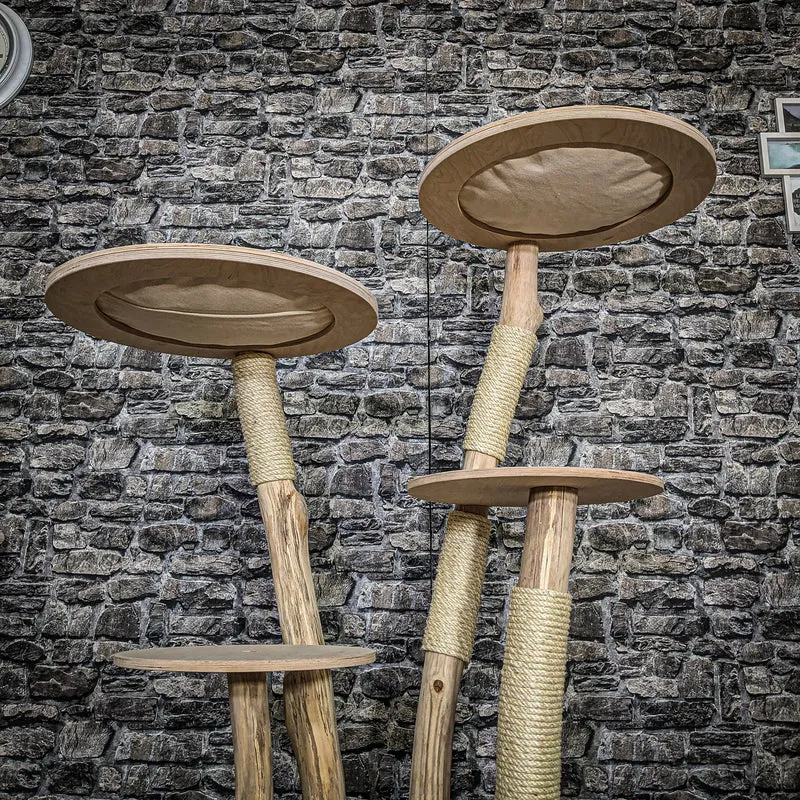 Naturkratzbaum 3825 Kratzbaum Natur Holz Design 144 cm hoch Katzenbaum