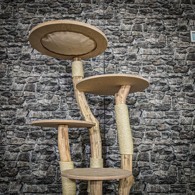Naturkratzbaum 3820 Kratzbaum Natur Holz Design 144 cm hoch Katzenbaum