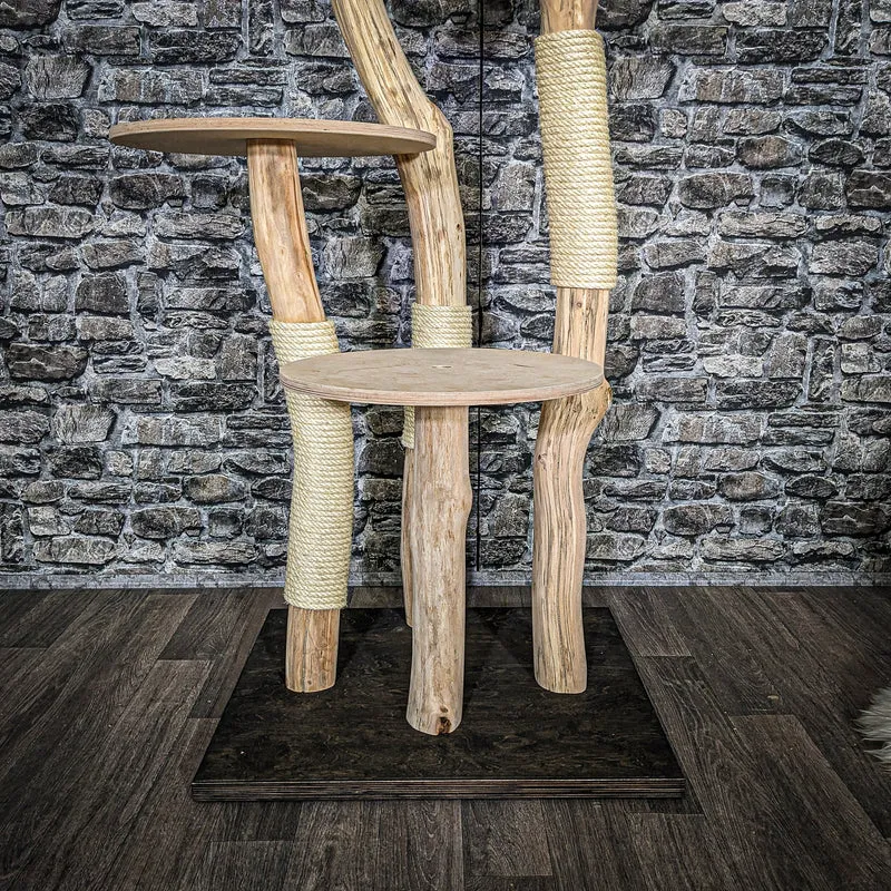 Naturkratzbaum 3820 Kratzbaum Natur Holz Design 144 cm hoch Katzenbaum