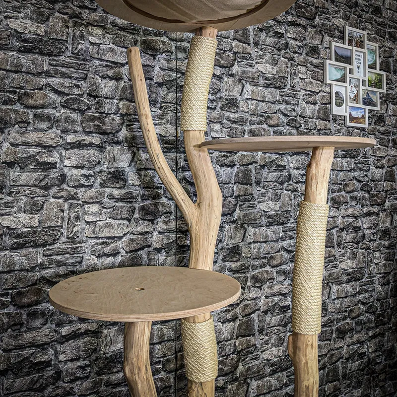Naturkratzbaum 3815 Kratzbaum Natur Holz Design 174 cm hoch Katzenbaum