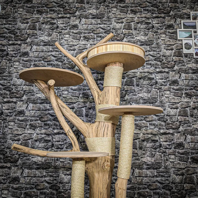 Naturkratzbaum 3814 Kratzbaum Natur Holz Design 163 cm hoch Katzenbaum