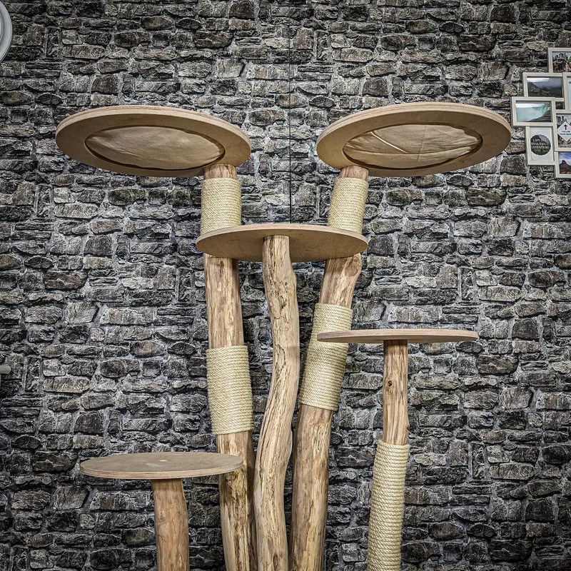 Naturkratzbaum 3811 Kratzbaum Natur Holz Design 145 cm hoch Katzenbaum