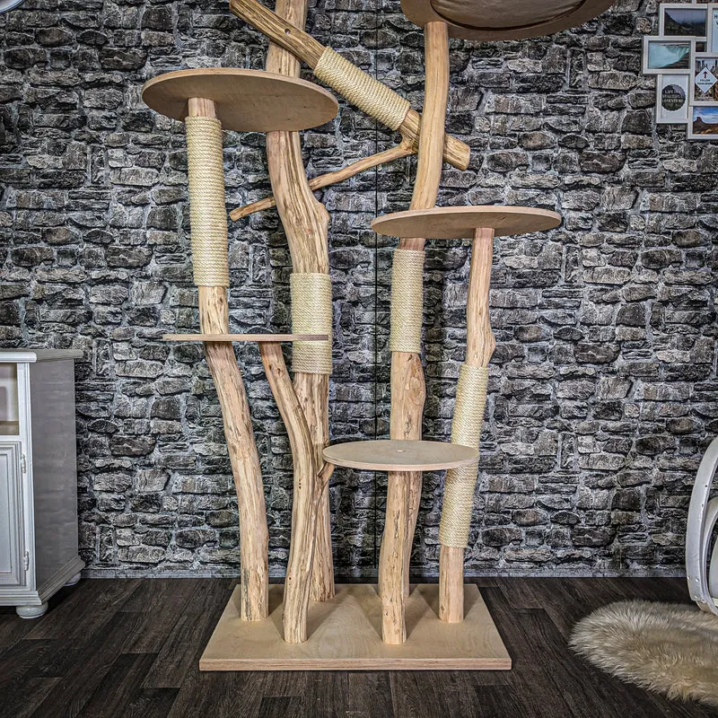 Naturkratzbaum 3810 Kratzbaum Natur Holz Design 205 cm hoch Katzenbaum