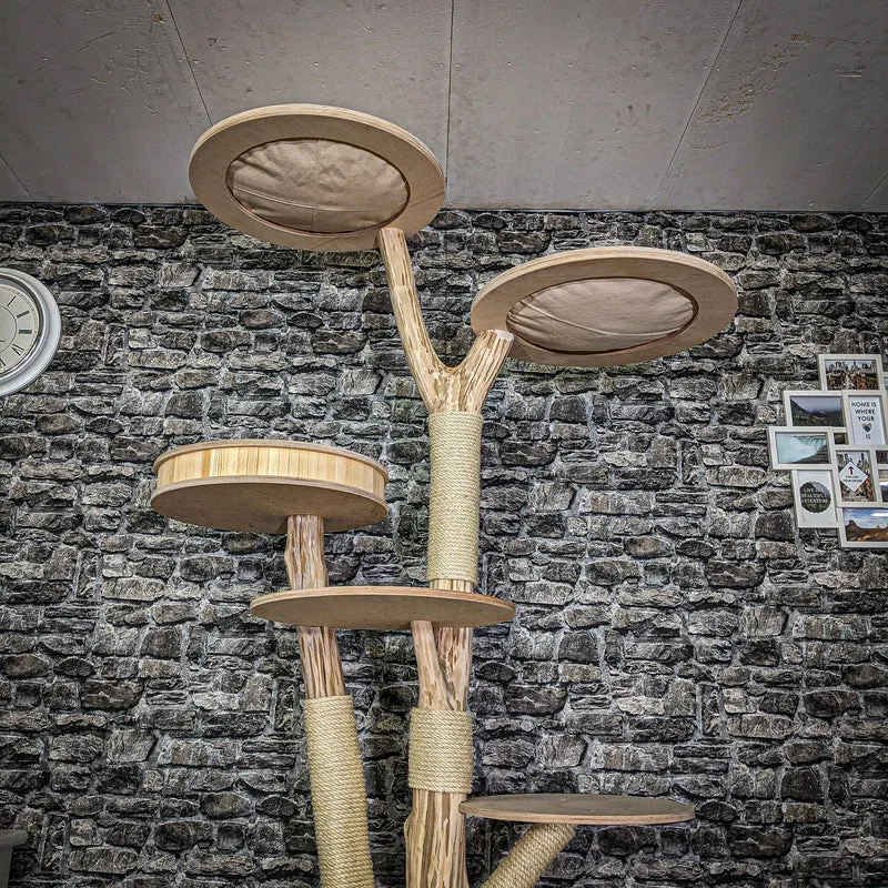 Naturkratzbaum 3809 Kratzbaum Natur Holz Design 225 cm hoch Katzenbaum