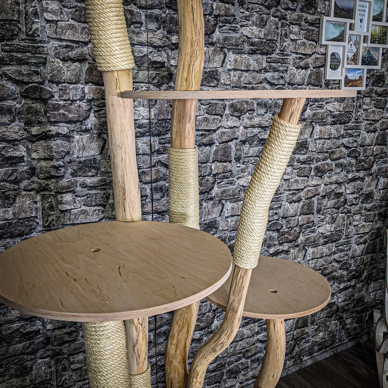 Naturkratzbaum 3808 Kratzbaum Natur Holz Design 185 cm hoch Katzenbaum
