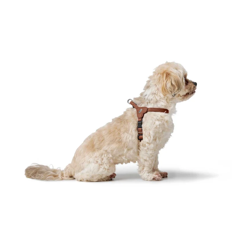 Geschirr Soho Mini