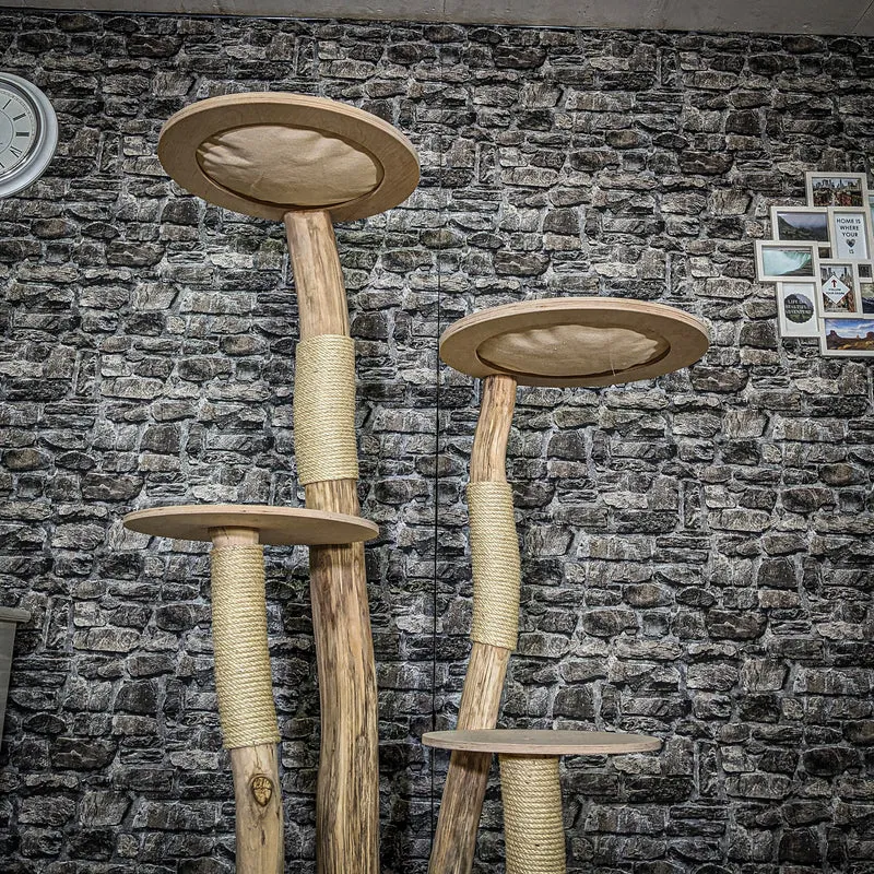 Naturkratzbaum 3880 Kratzbaum Natur Holz Design 175 cm hoch Katzenbaum