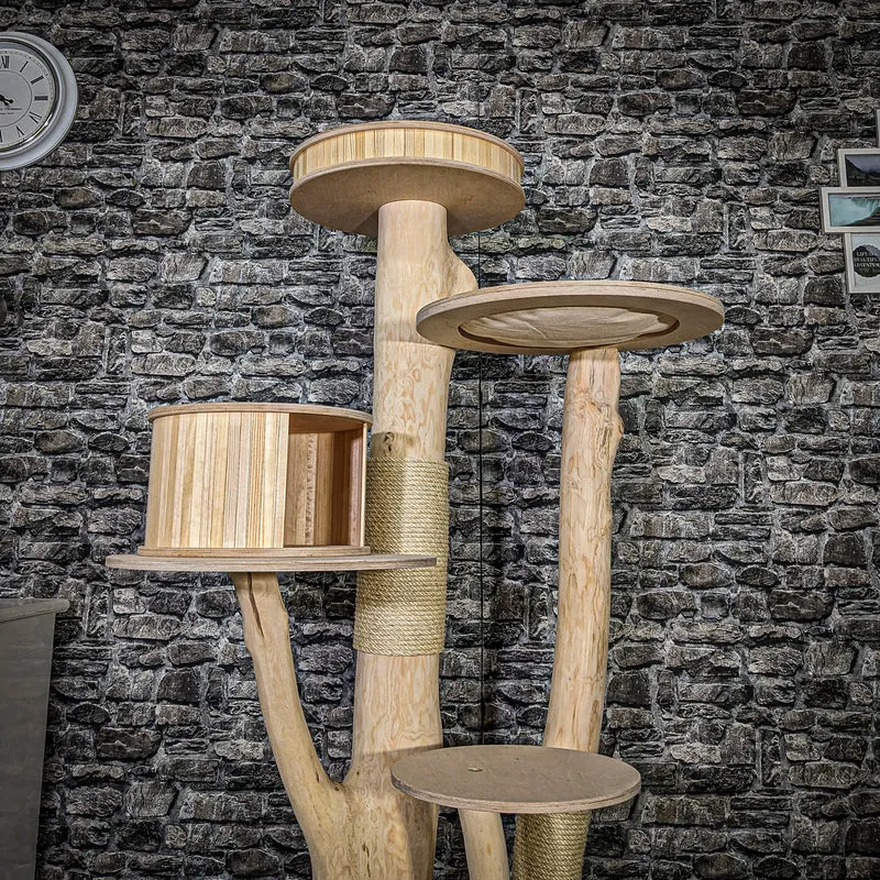 Naturkratzbaum 3873 Kratzbaum Natur Holz Design 170 cm hoch Katzenbaum