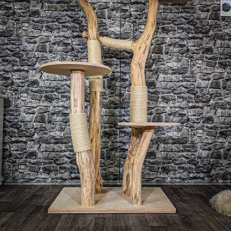 Naturkratzbaum 3917 Kratzbaum Natur Holz Design 160 cm hoch Katzenbaum