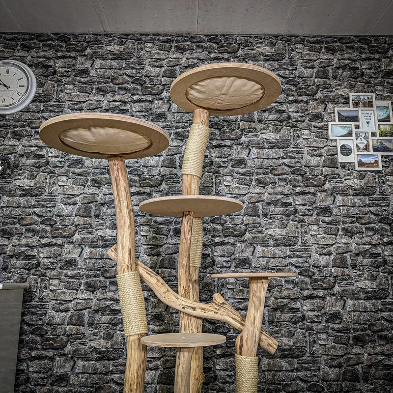 Naturkratzbaum 3905 Kratzbaum Natur Holz Design 175 cm hoch Katzenbaum