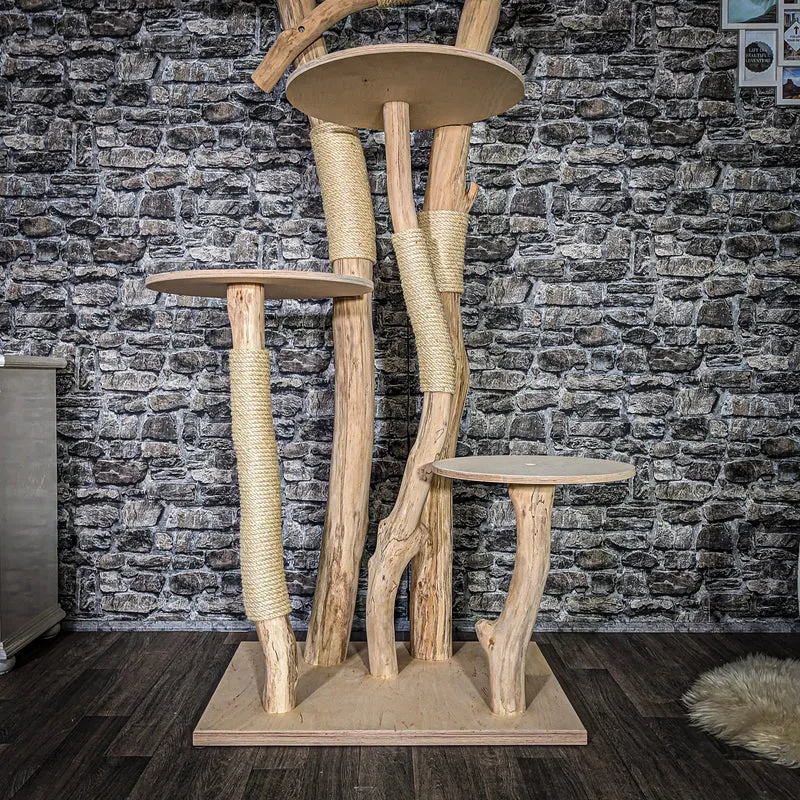 Naturkratzbaum 3889 Kratzbaum Natur Holz Design 205 cm hoch Katzenbaum