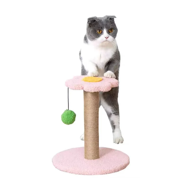 Pawsometime Katze kratzbaum, rosa Kratzstamm für kleine Katzen, stabile Basis mit blütenförmiger Plattform