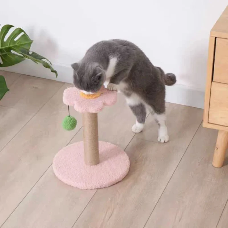 Pawsometime Katze kratzbaum, rosa Kratzstamm für kleine Katzen, stabile Basis mit blütenförmiger Plattform
