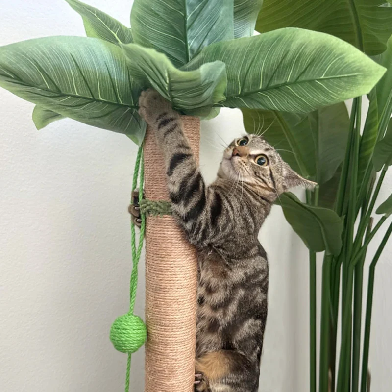 Kratzbaum Modern, Sisal Simulation einer Kokospalme, Hochwertiger Katzenkratzbaum mit interaktivem Cat-Drehteller & Sisalbälle