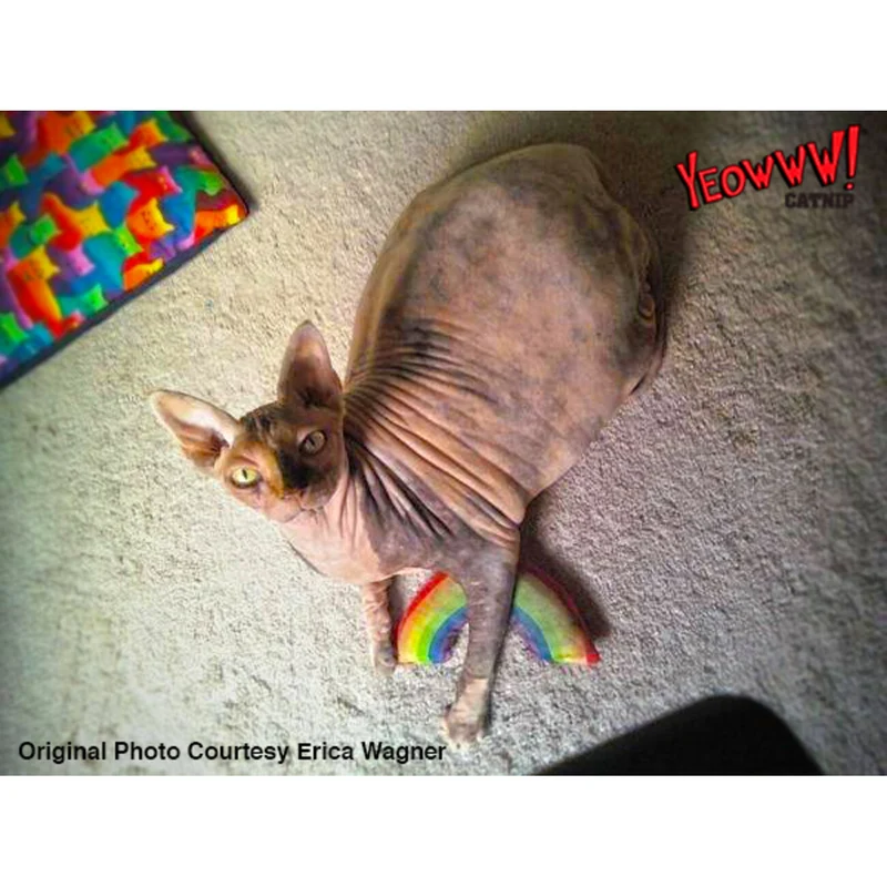 Yeowww! Rainbow Katzenspielzeug